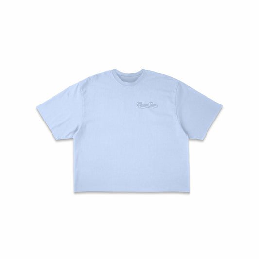 S/S26 DECONSTRUCTED EMBROIDERED RAW HEM TEE IN POWDER BLUE